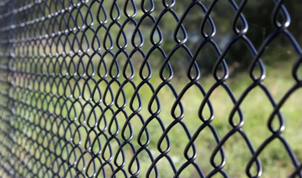 Chain Link